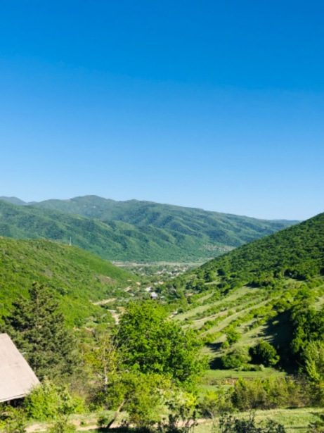 მიწა · დუშეთის მუნიციპალიტეტი, სოფელი მეზვრიანთკარი