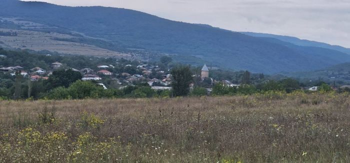 მიწა · დუშეთის მუნიციპალიტეტი, სოფელი მჭადიჯვარი