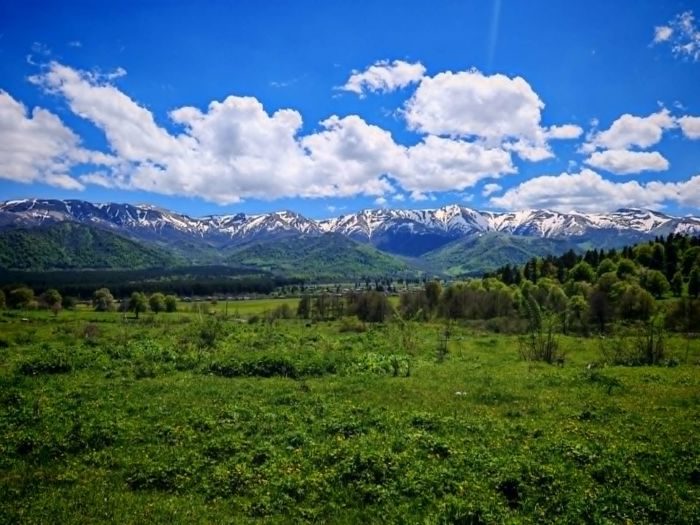იყიდება მიწის ნაკვეთი , მუნიციპალიტეტი ბორჯომი, სოფელი ციხისჯვარი , 890 მ² - $17,800